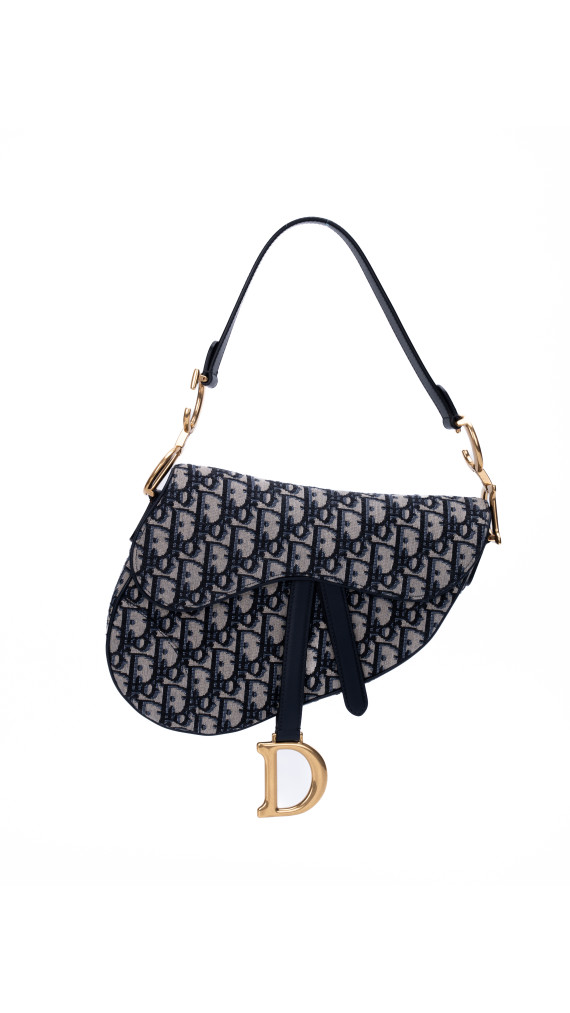Dior Saddle Bag Size Classic (Medium) i Oblique canvas