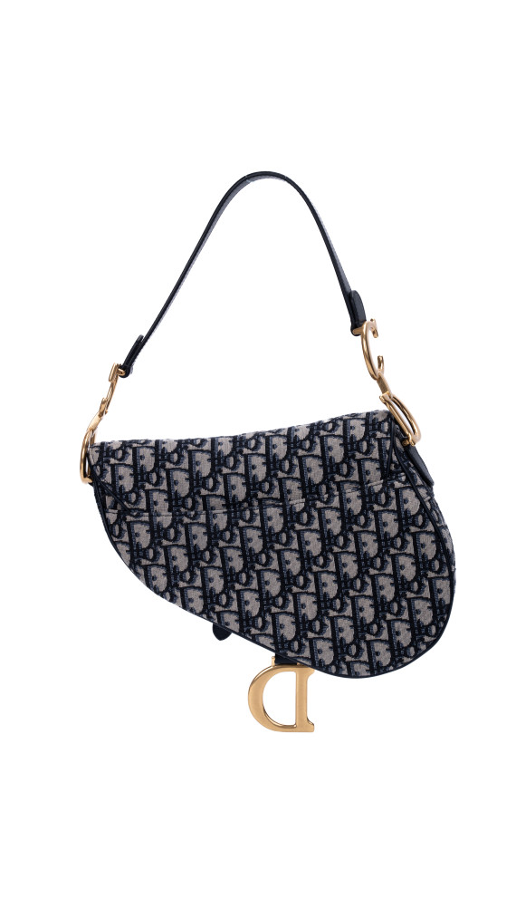 Dior Saddle Bag Size Classic (Medium) i Oblique canvas