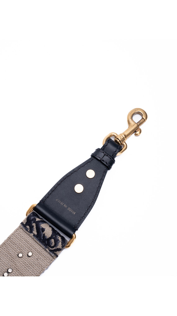 Dior Saddle Bag Size Classic (Medium) i Oblique canvas