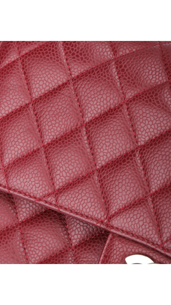 purse2