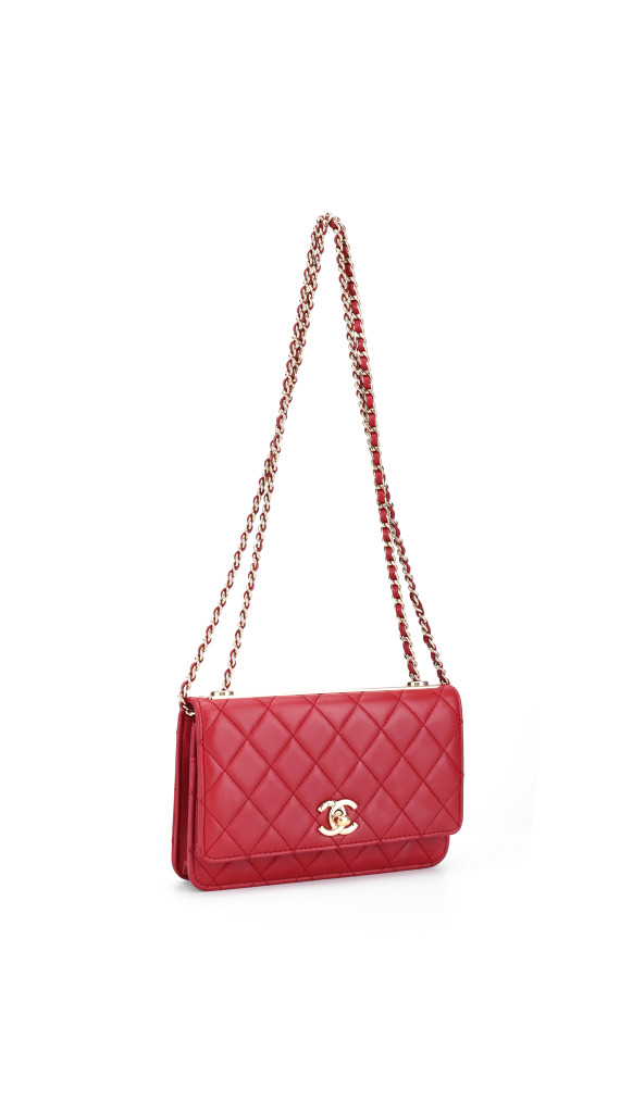 purse3