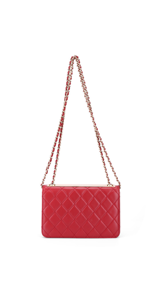 purse3