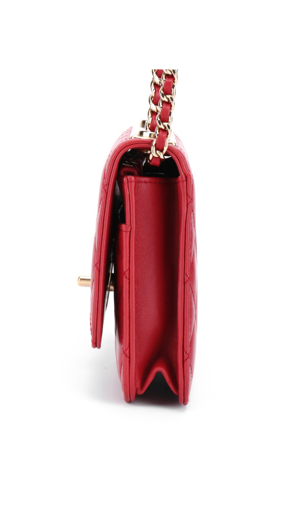 purse3