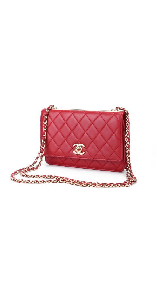 purse3