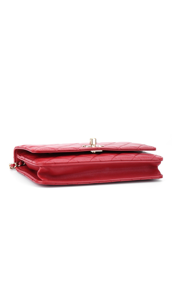 purse3
