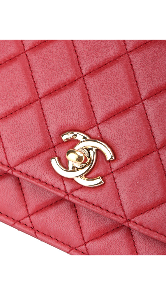 purse3
