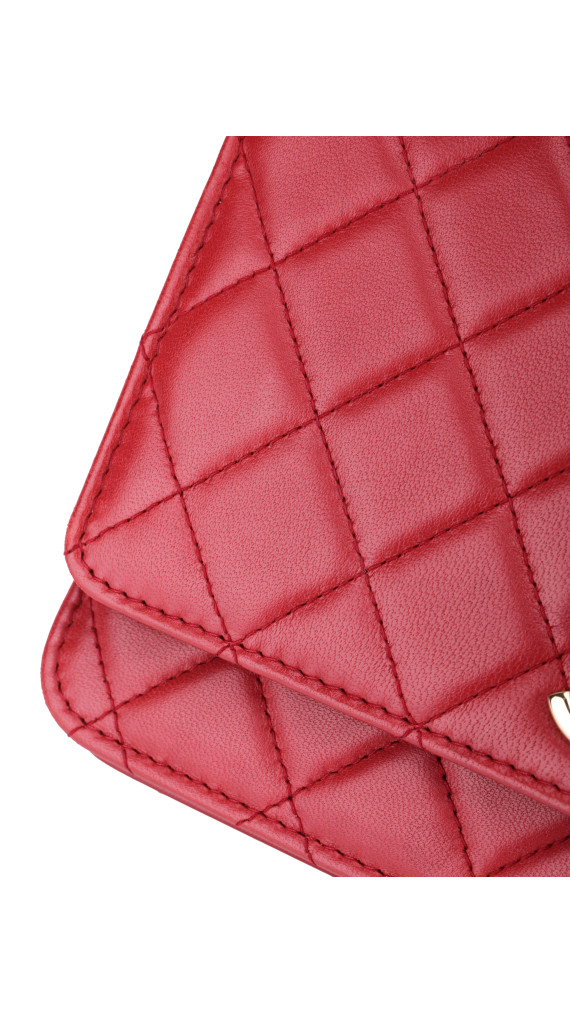 purse3