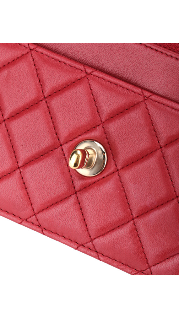 purse3