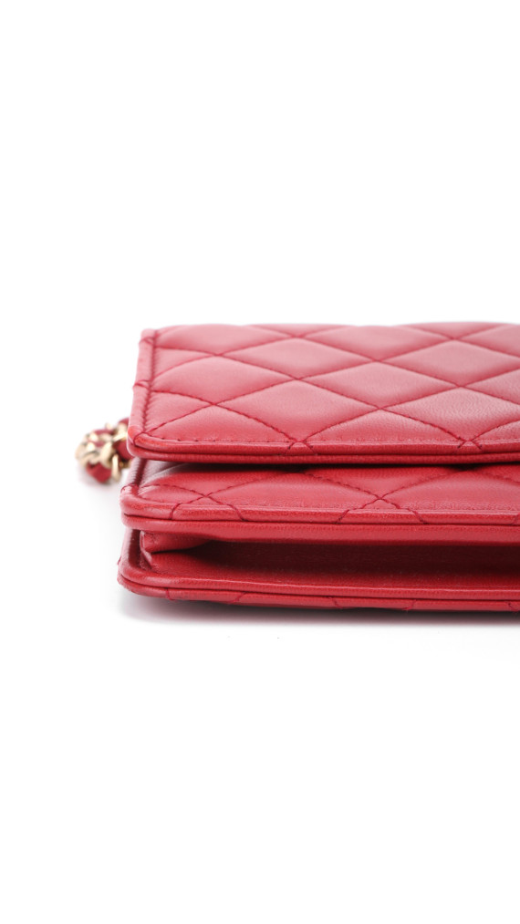purse3