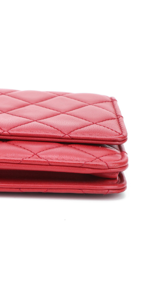 purse3