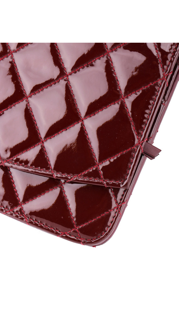 purse4