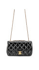purse5