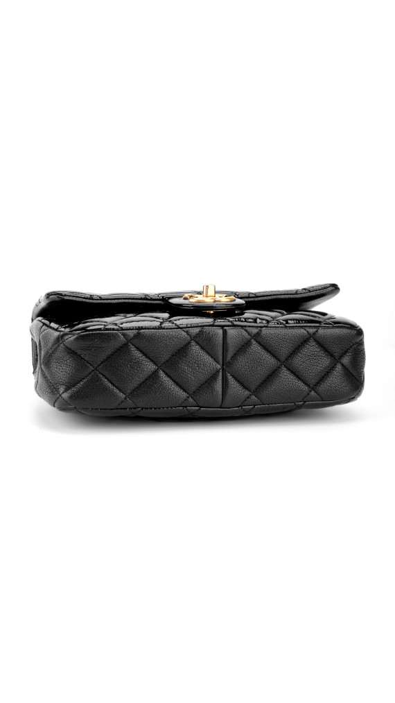 purse5