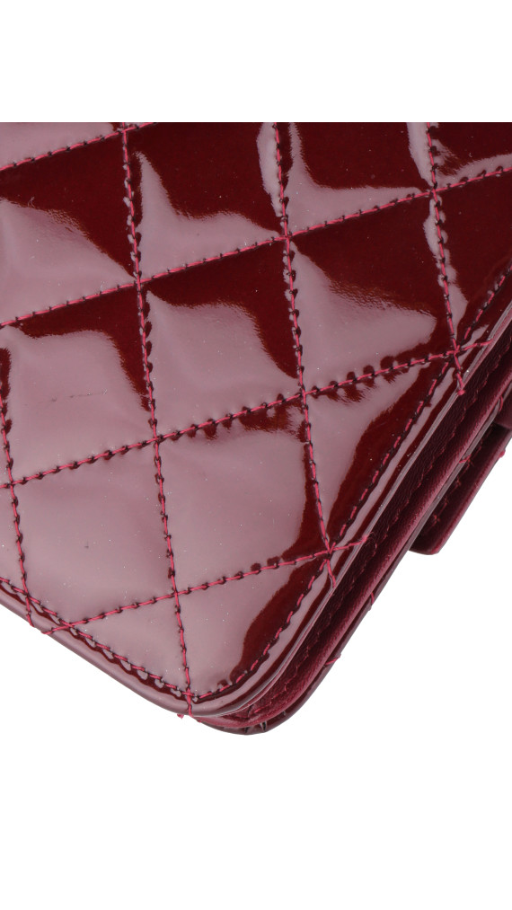 purse4