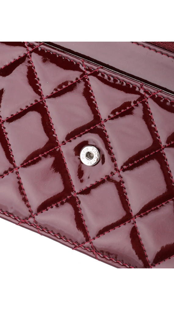 purse4
