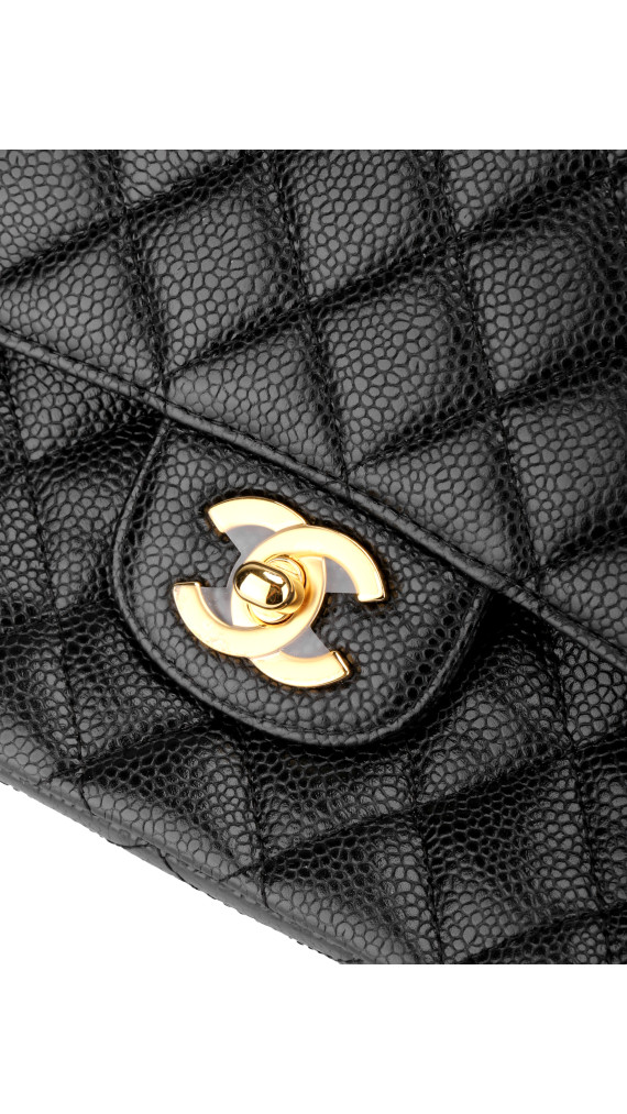 purse5