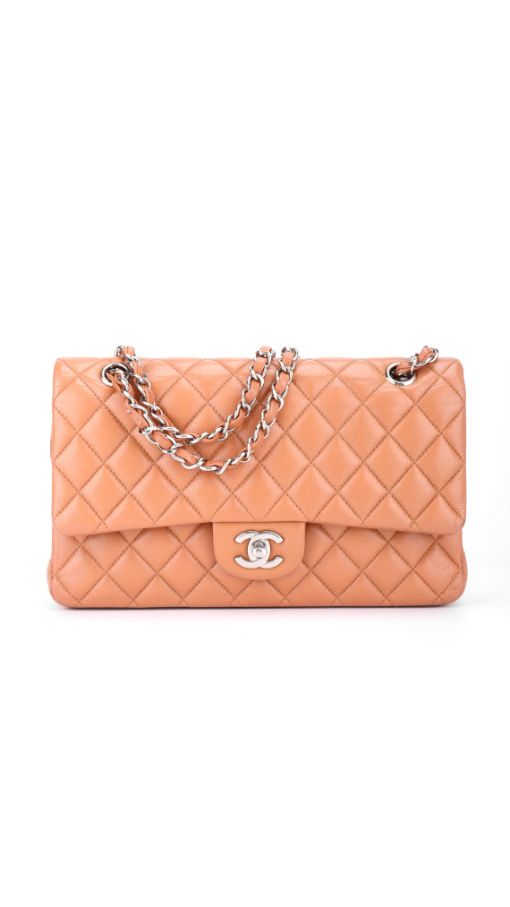purse6