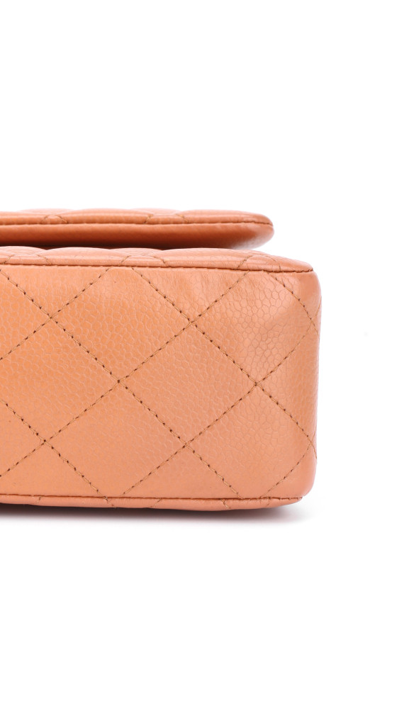 purse6
