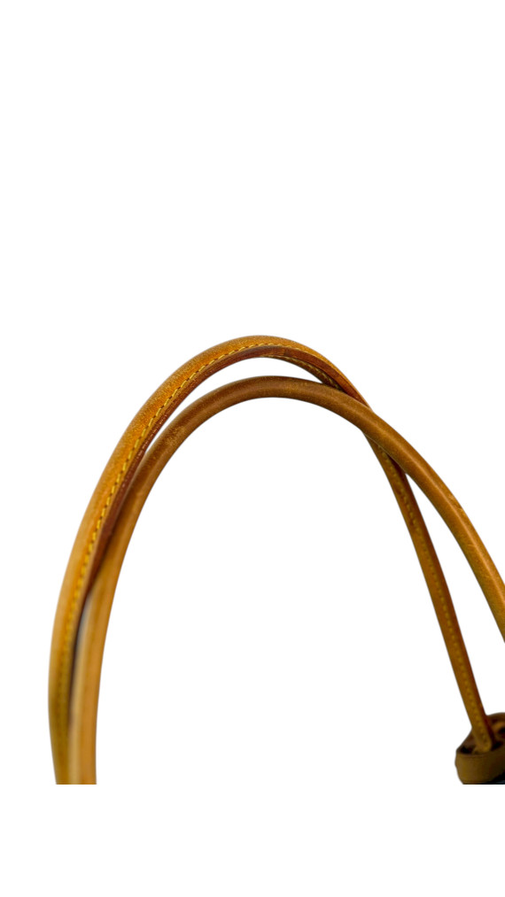 Louis Vuitton Tote Bag