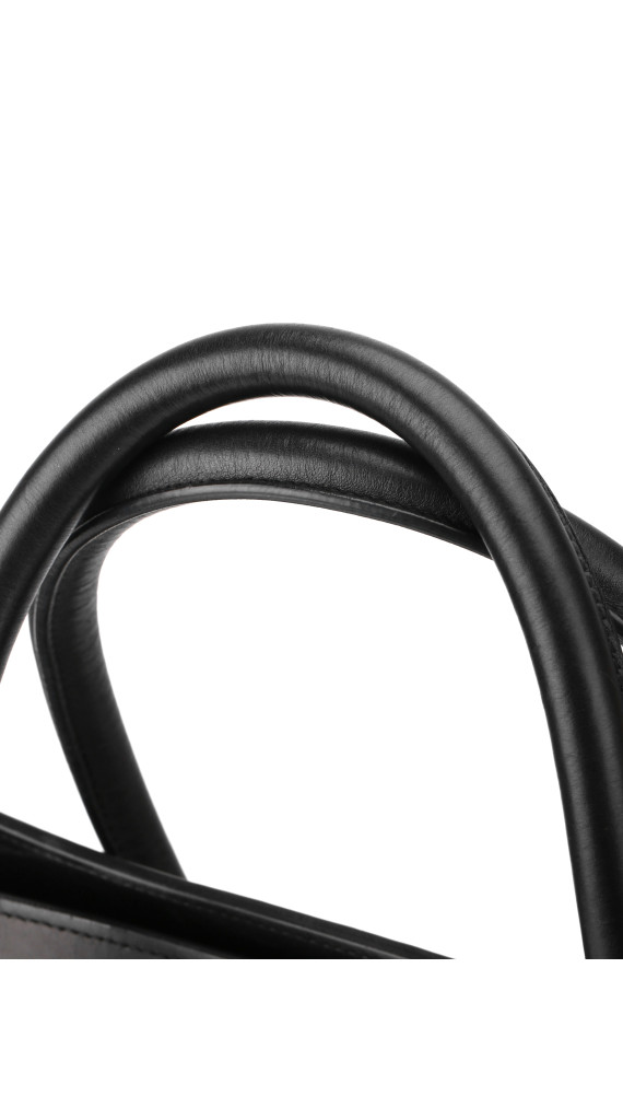 Céline Luggage Mini Tote i tricolor kalveskinn (Den største str)