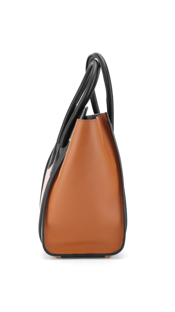 Céline Micro Luggage Tote i tricolor kalveskinn