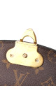 Louis Vuitton Saint Placide Chain Bag