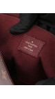 Louis Vuitton Saint Placide Chain Bag