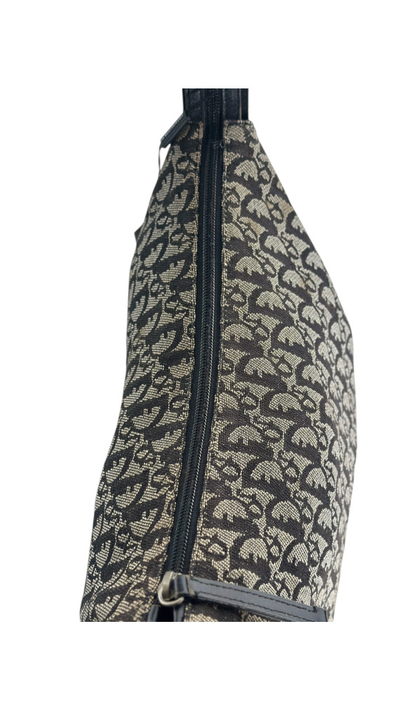 Dior Monogram Crossbody Bag