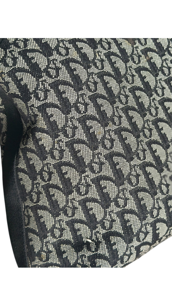 Dior Monogram Crossbody Bag