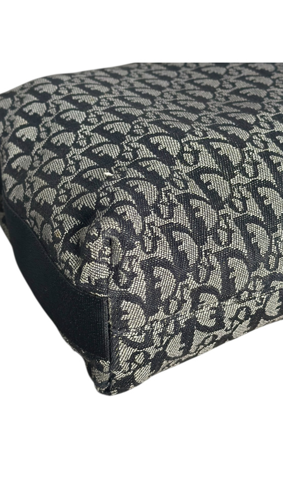 Dior Monogram Crossbody Bag