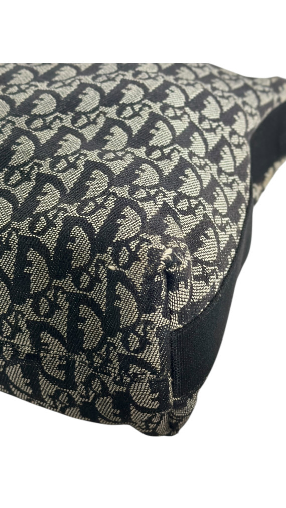 Dior Monogram Crossbody Bag