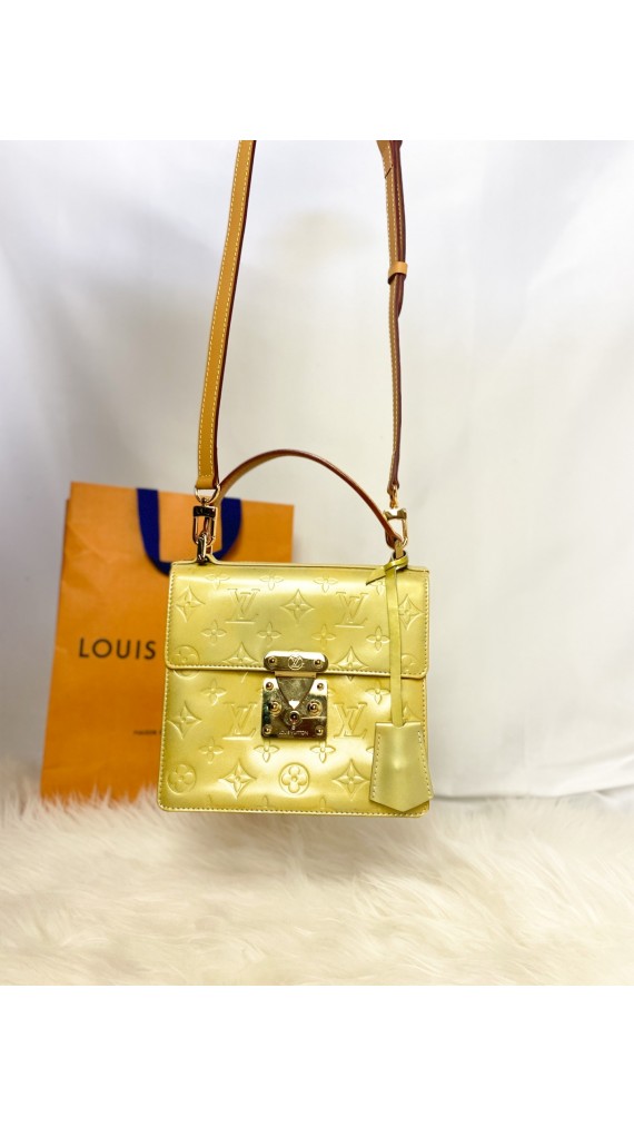 Louis Vuitton Spring street bag
