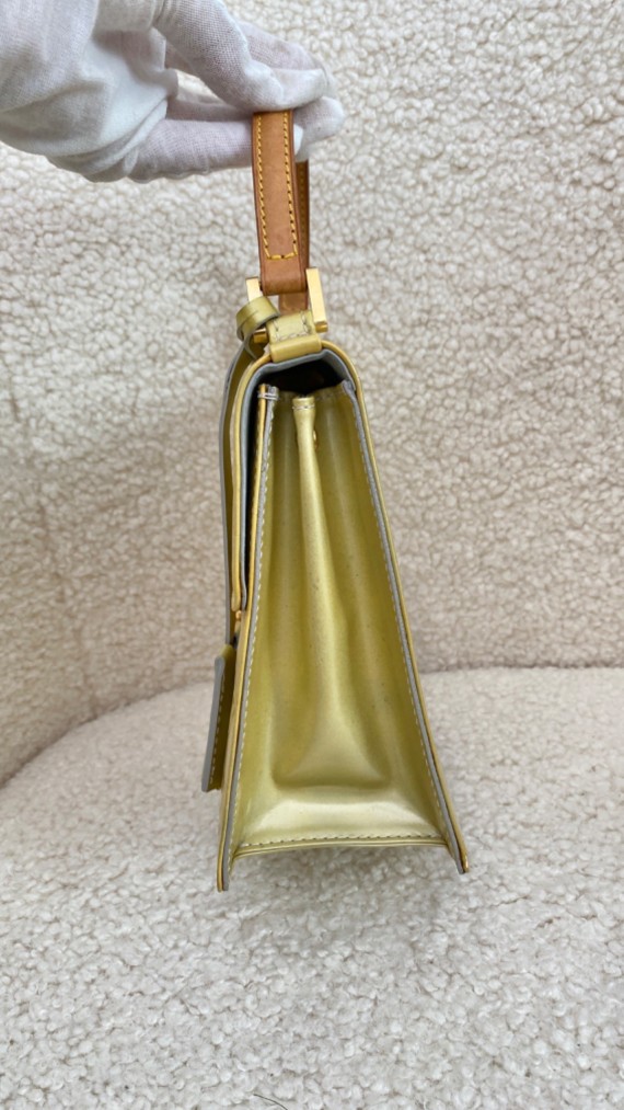 Louis Vuitton Spring street bag