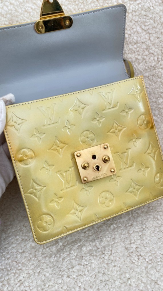 Louis Vuitton Spring street bag