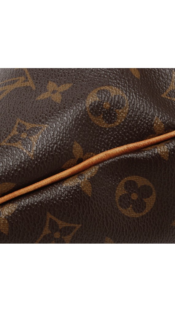 Louis Vuitton Palermo Bag